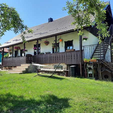 Casa Bunicilor Villa Ciprian Porumbescu Eksteriør bilde