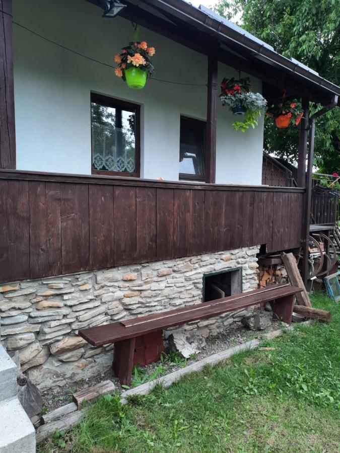 Casa Bunicilor Villa Ciprian Porumbescu Eksteriør bilde