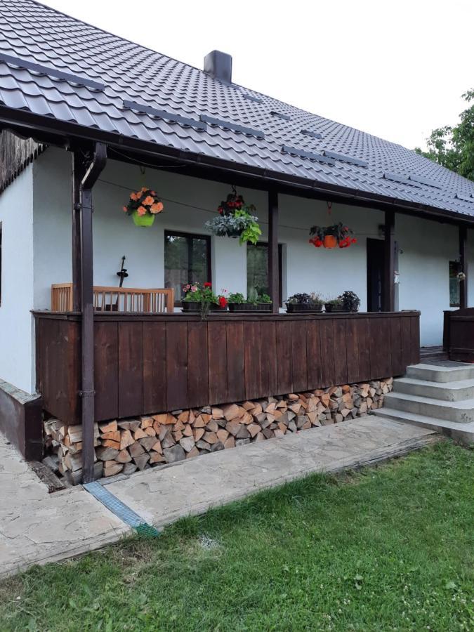 Casa Bunicilor Villa Ciprian Porumbescu Eksteriør bilde