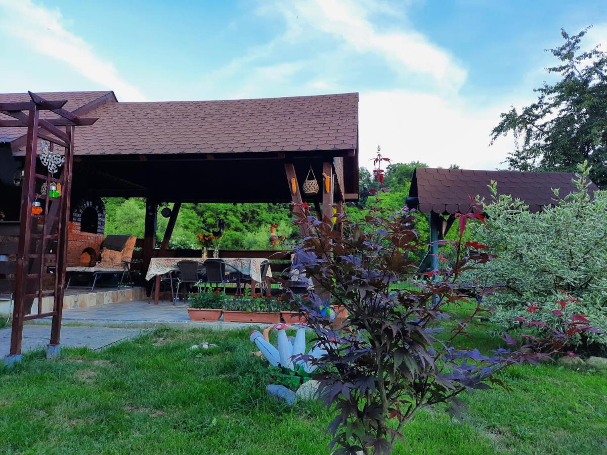 Casa Bunicilor Villa Ciprian Porumbescu Eksteriør bilde