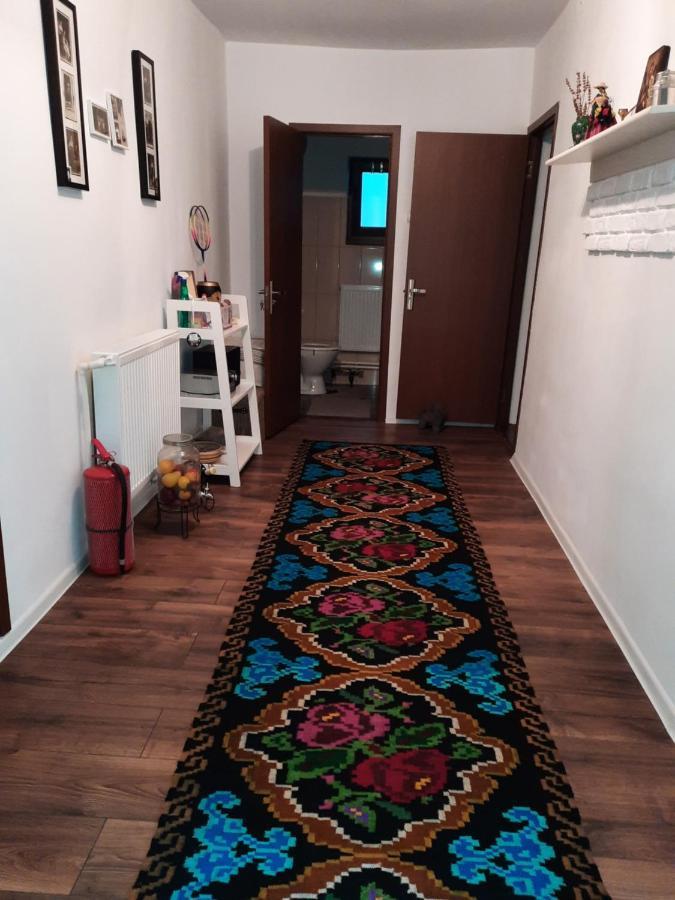 Casa Bunicilor Villa Ciprian Porumbescu Eksteriør bilde