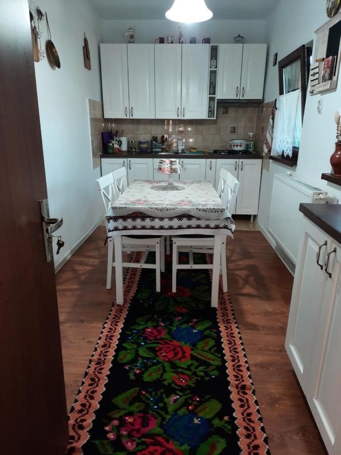 Casa Bunicilor Villa Ciprian Porumbescu Eksteriør bilde
