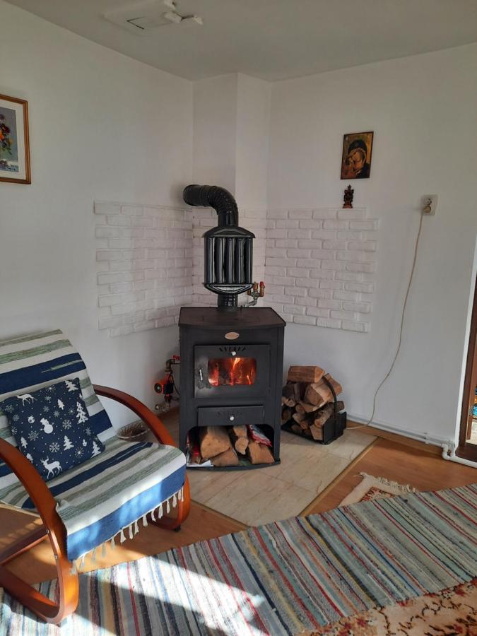 Casa Bunicilor Villa Ciprian Porumbescu Eksteriør bilde