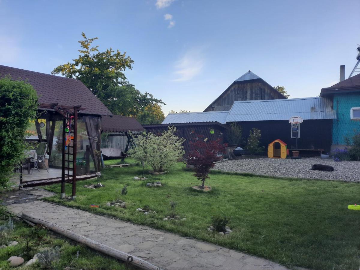 Casa Bunicilor Villa Ciprian Porumbescu Eksteriør bilde