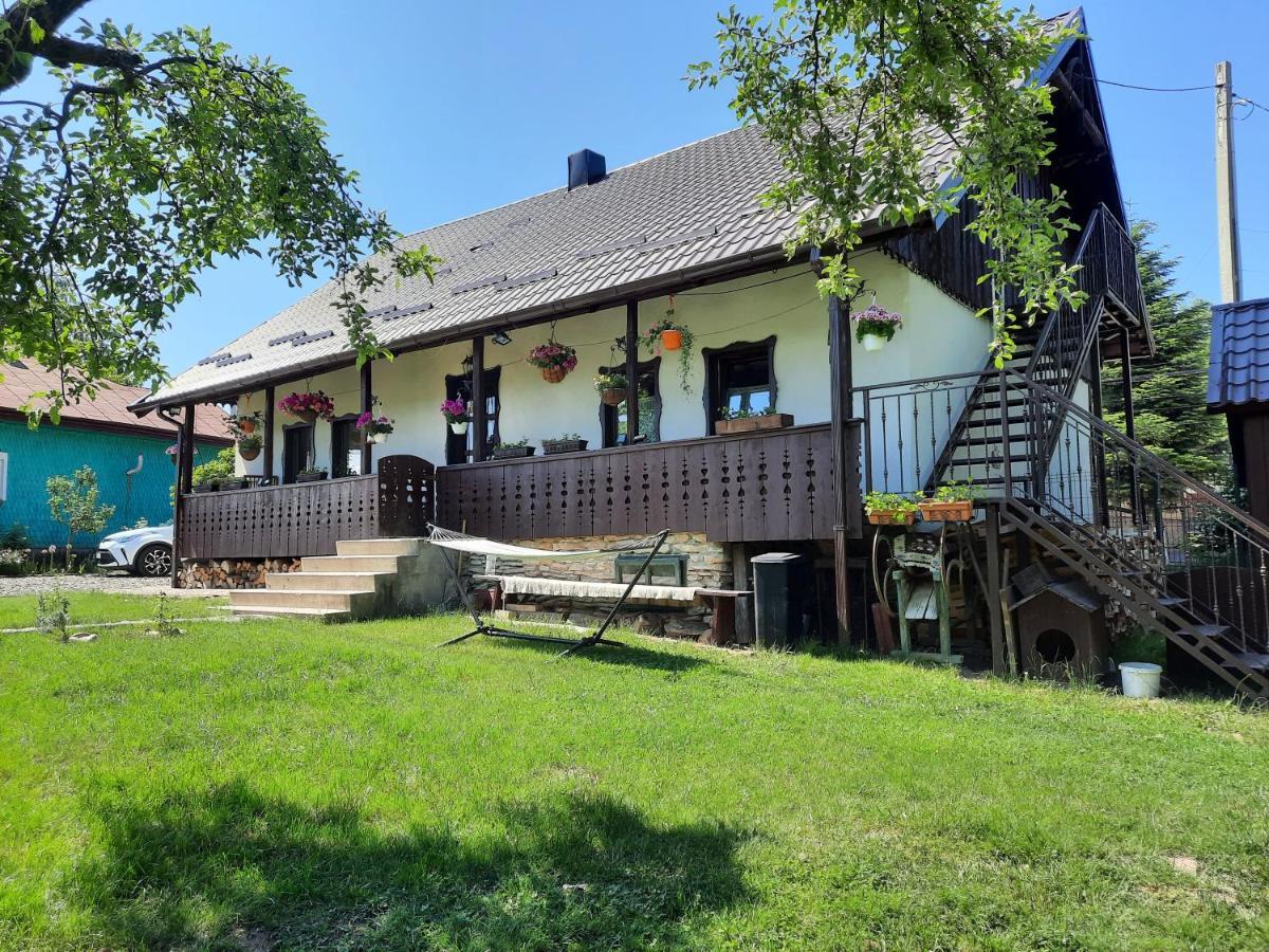 Casa Bunicilor Villa Ciprian Porumbescu Eksteriør bilde