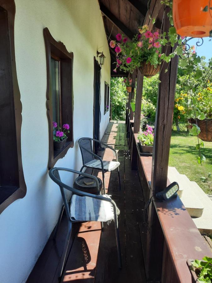 Casa Bunicilor Villa Ciprian Porumbescu Eksteriør bilde