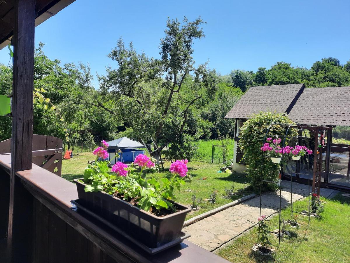 Casa Bunicilor Villa Ciprian Porumbescu Eksteriør bilde