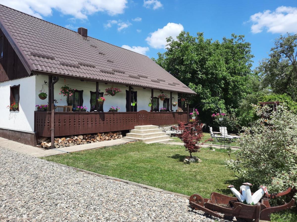 Casa Bunicilor Villa Ciprian Porumbescu Eksteriør bilde