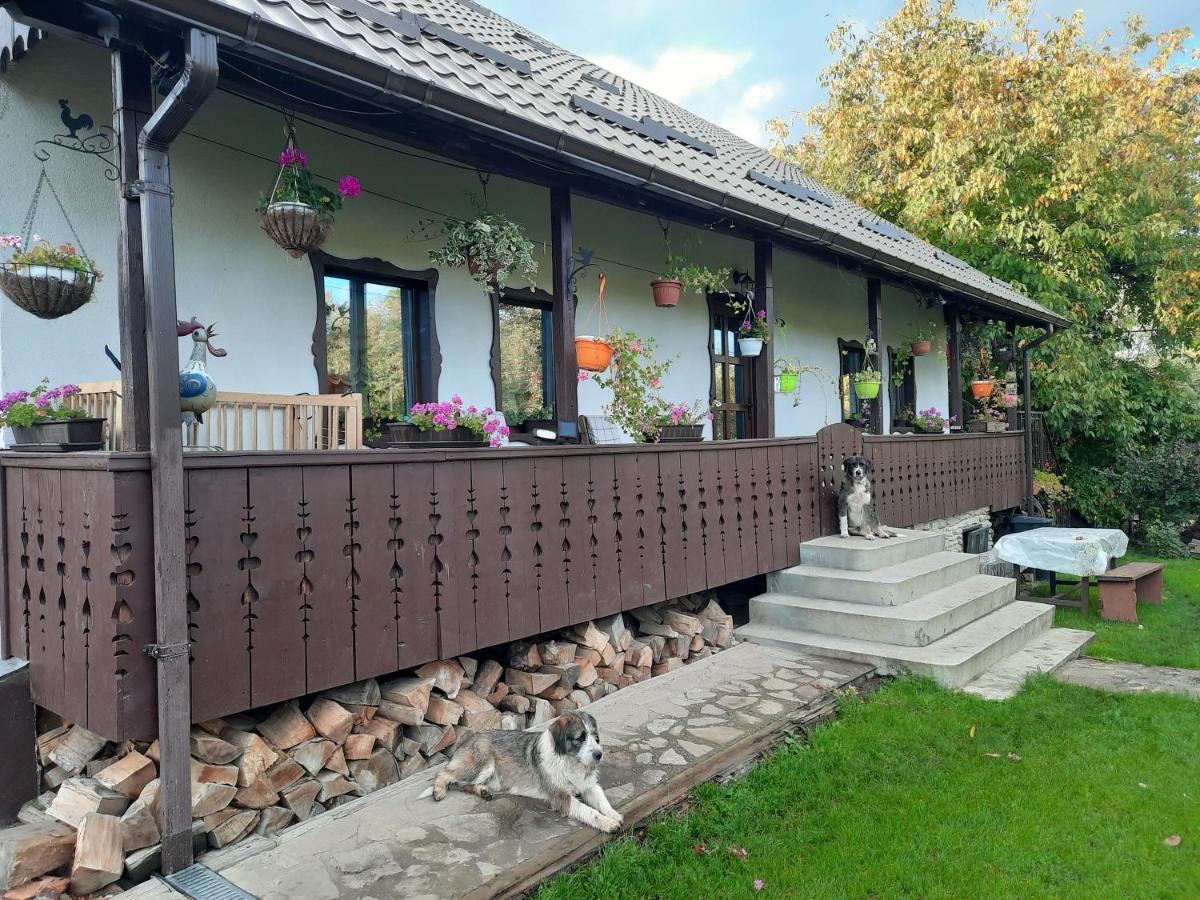 Casa Bunicilor Villa Ciprian Porumbescu Eksteriør bilde