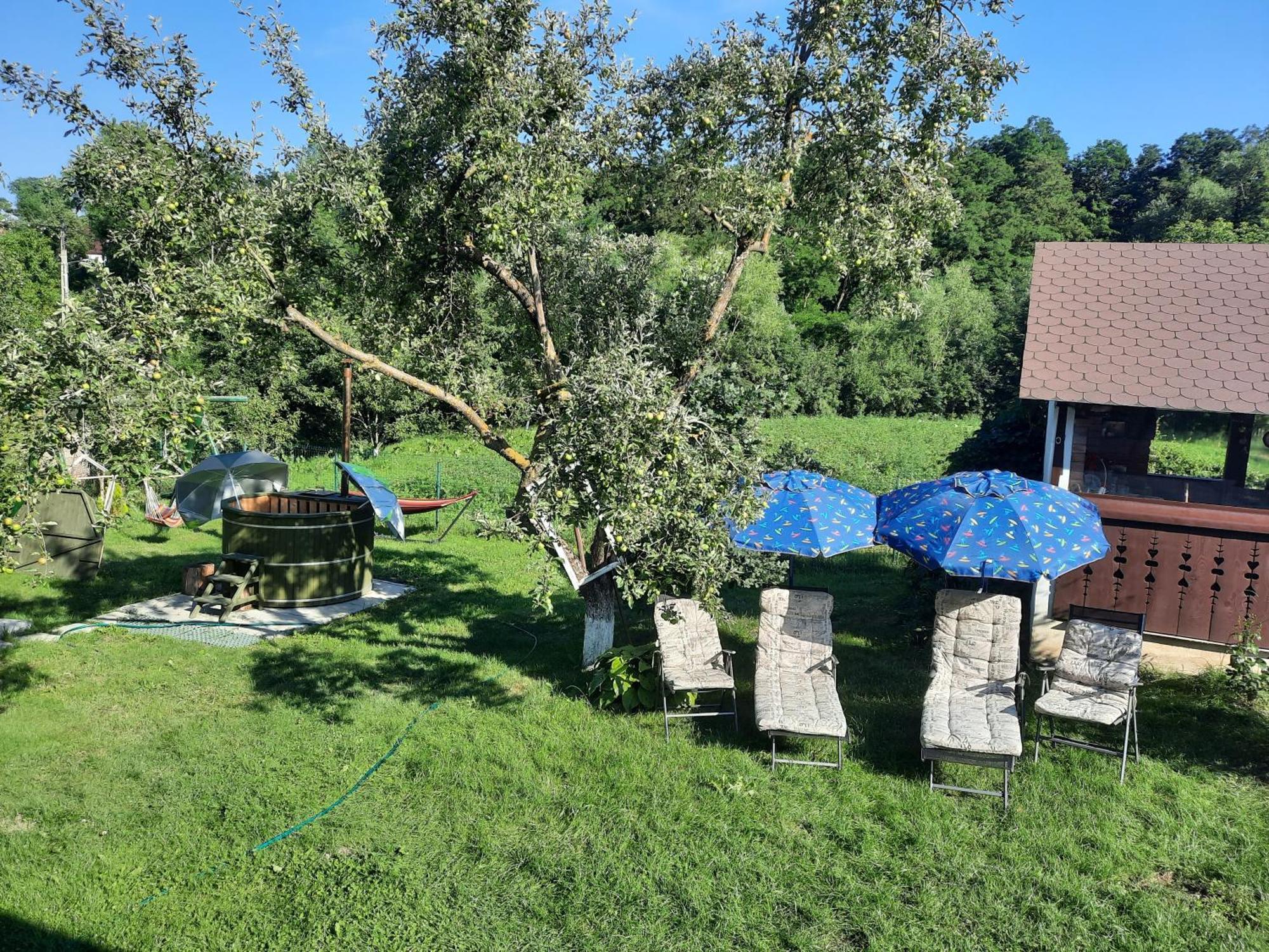 Casa Bunicilor Villa Ciprian Porumbescu Eksteriør bilde